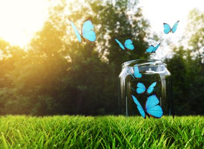 ¿Sabes en qué consiste la técnica del frasco de la felicidad?