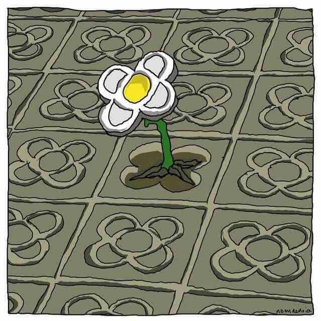 Flor en el suelo