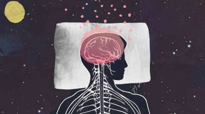 Melatonina: la hormona del sueño y la juventud