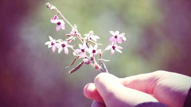 mano sosteniendo flor representando las frases de Fritz Perls