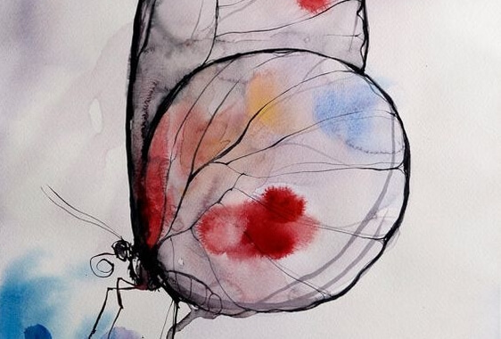 mariposa