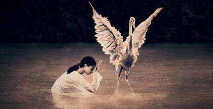 5 Frases De Lao Tse Para Reflexionar La Mente Es Maravillosa