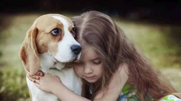 La empatía en los perros: un poder sanador