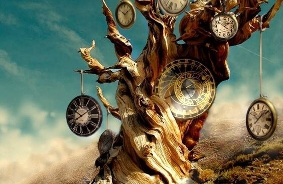 Tronco con relojes