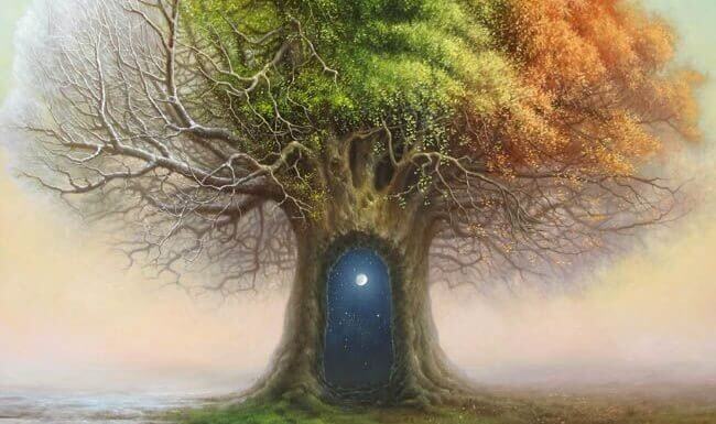 Árbol donde hay una puera