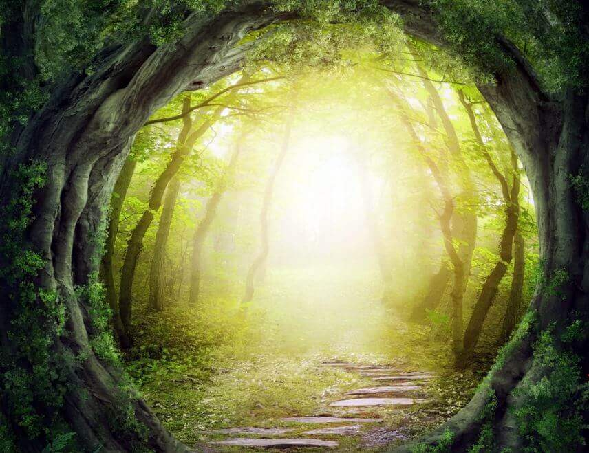 Camino en el bosque por donde van las personas autorrealizadas
