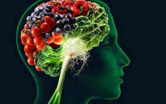 Alimentos que ayudan a fortalecer la memoria