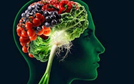 Alimentos que ayudan a fortalecer la memoria