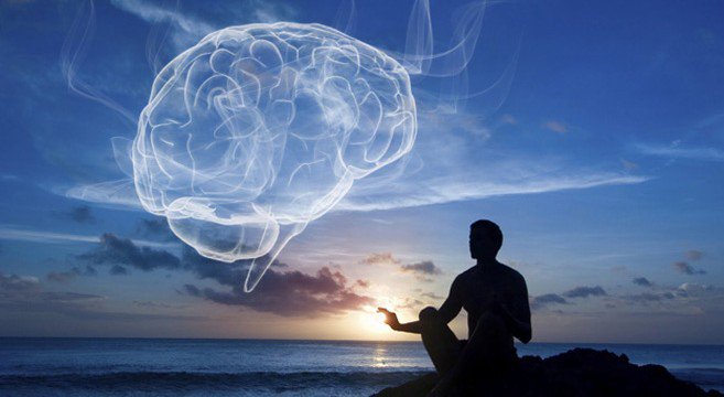 cerebro con hombre frente al mar que disfruta de sus pausas