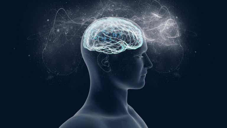 Magnesio: el aliado de nuestro cerebro y del bienestar psicológico