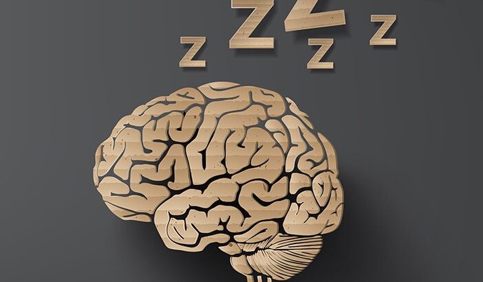 cerebro soñando