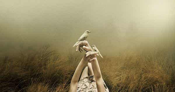 chica con palomas en las manos simbolizando el arte de percibir desde el corazón