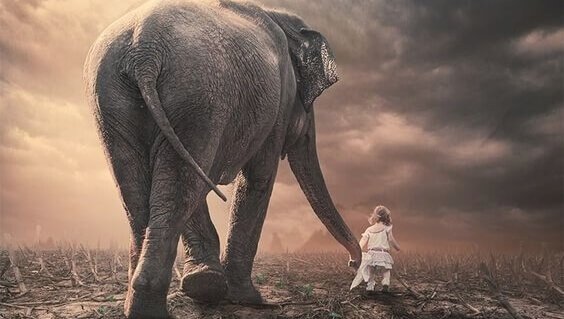 Niña con elefante