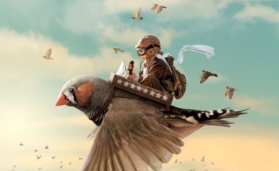 Niño sobre un pájaro