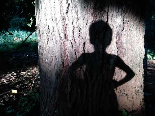 Sombra de niño en un árbol
