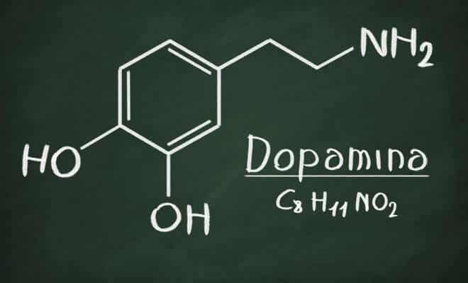 dopamina clave para motivar es dar motivos 