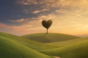 Árbol en forma de corazón