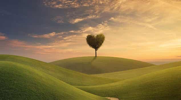 árbol en forma de corazón representando qué qué hacer con tu vida
