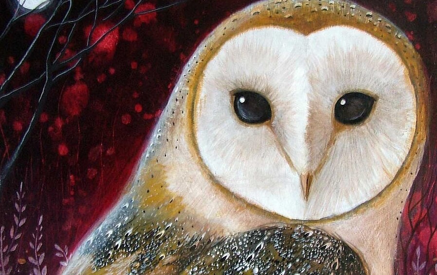 búho simbolizando una parábola