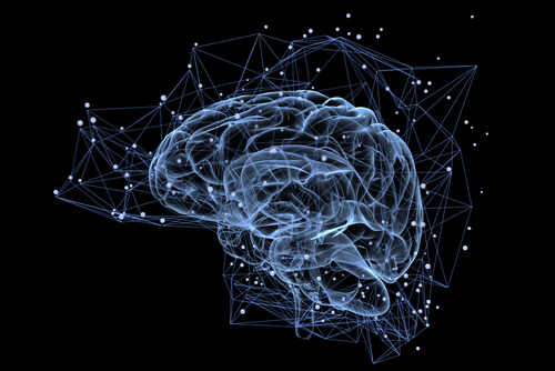 Cerebro iluminado sobre fondo oscuro mostrando las neuronas von Economo