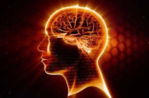 cerebro sano gracias al omega-3
