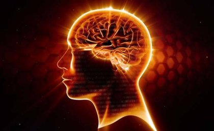 Omega-3, el mejor neuroprotector