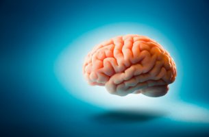 Cerebro sobre fondo azul