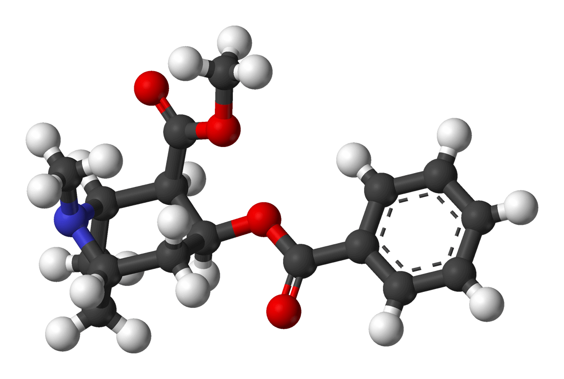 Fórmula química de la cocaína