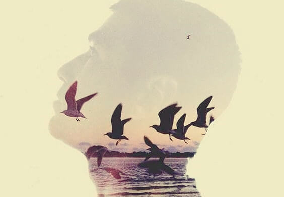 hombre con pájaros en el interior