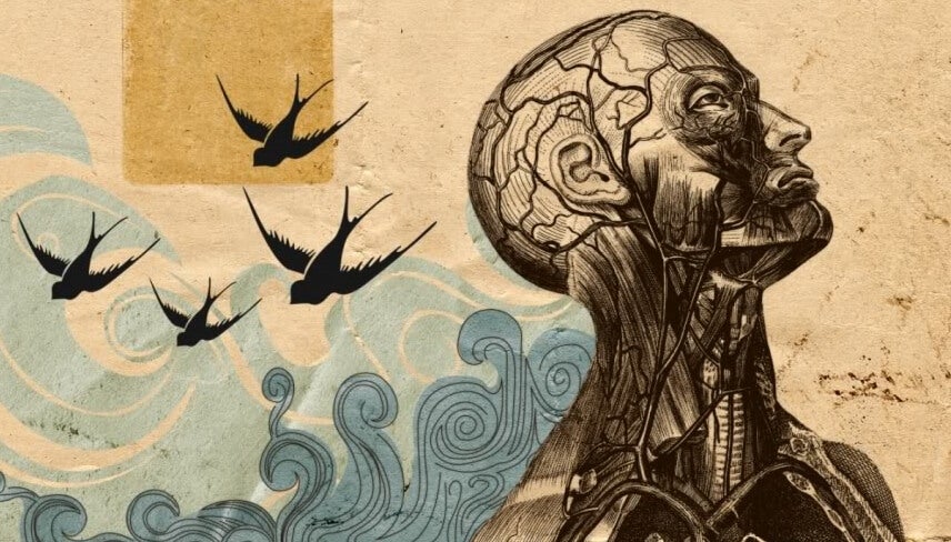 Figura con pájaros a su espalda representando la psicología humanista de Carl Rogers