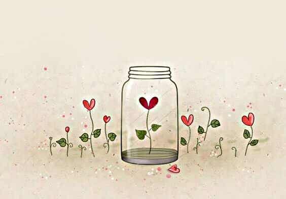 heart flower in jar