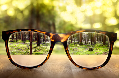 gafas enfocando a un bosque
