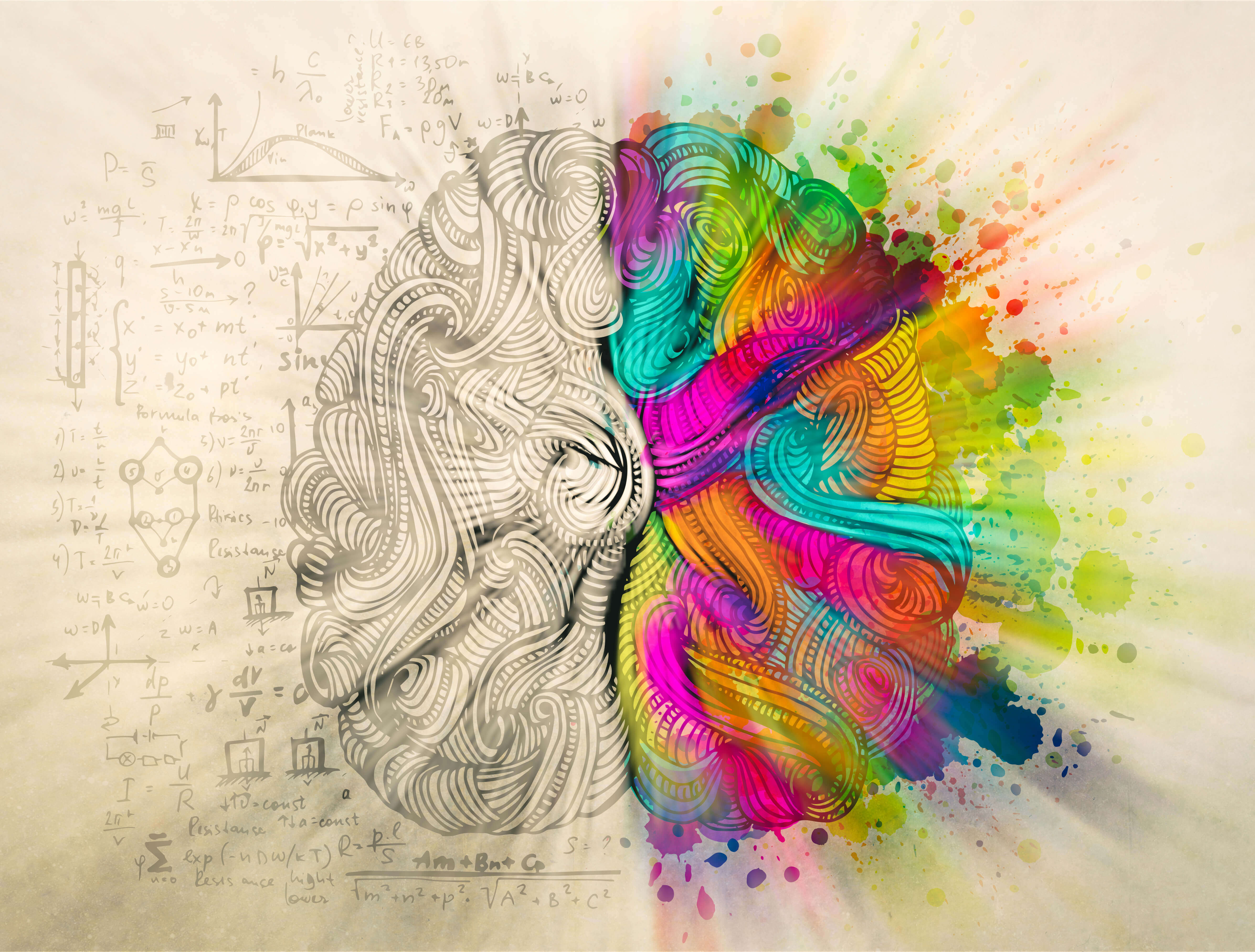 Hemisferios del cerebro coloreados