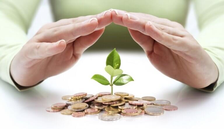 Mano sobre hoja y dinero simbolizando la psicología del ahorro