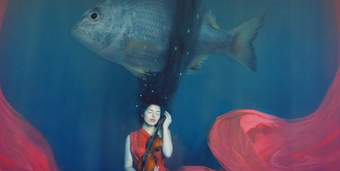 Mujer con violín
