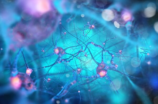 Neuronas