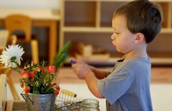Niño cuidando planta