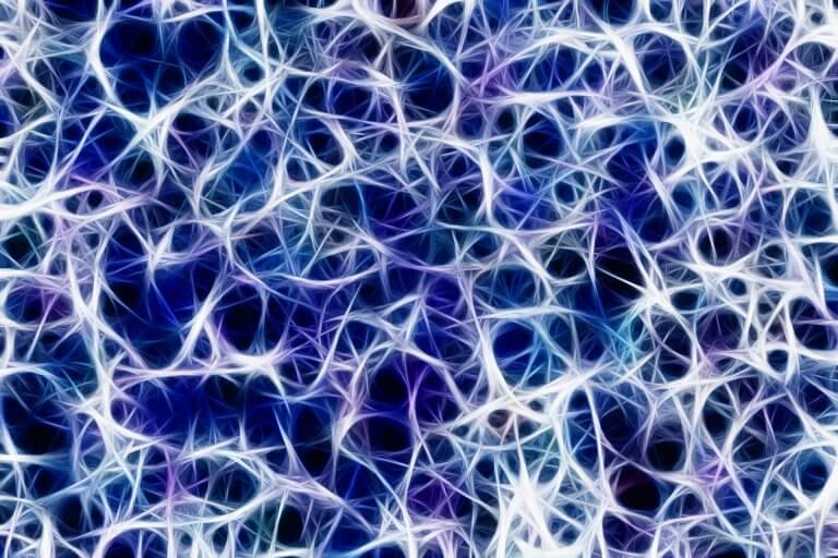 plasticidad neuronal