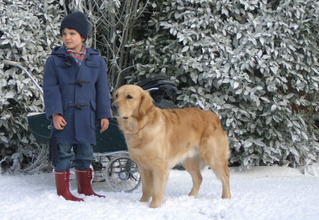 Película sobre el autismo de un niño y su perro