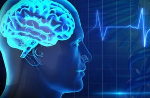 cerebro con electrocardiograma representando la salud cerebral