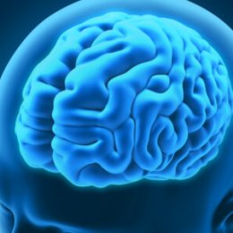 Psicología Publicitaria Estrategias Y Características La Mente Es Maravillosa<script async src=