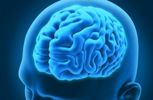 Cerebro de un hombre para representar los trastornos neurológicos