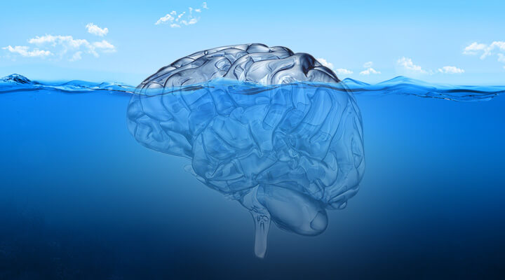 cerebro sumergido representando la terapia Junguiana
