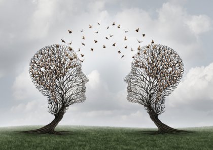 ¿Qué es la cognición social?