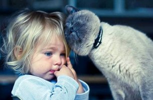 Gato acariciando a una niña