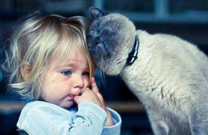 Gatoterapia: 5 beneficios de vivir con un gato