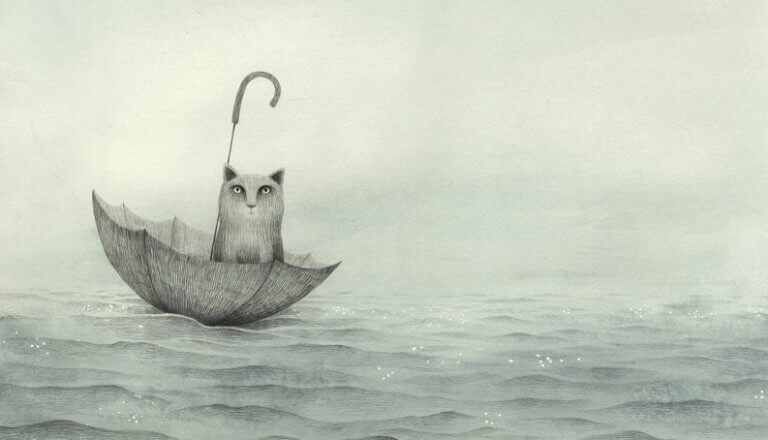 Gato sobre paraguas