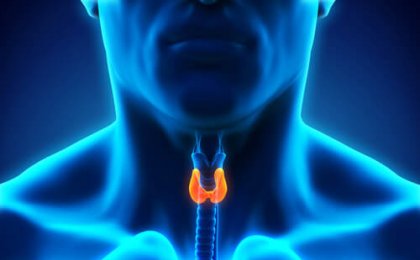 Tiroides y estado de ánimo: ¿cuál es su relación?