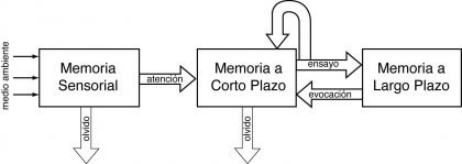 Modelo de memoria de Atkinson y Shiffrin