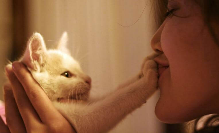 Mujer con su gato blanco tapándole la boca representando el El duelo por nuestras mascotas